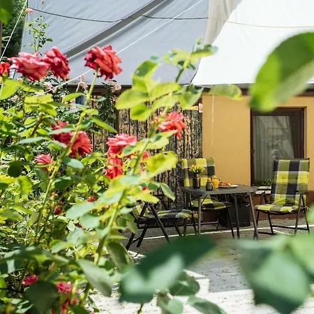 Lovely House And Courtyard In Center